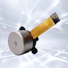 Gimbal Motors